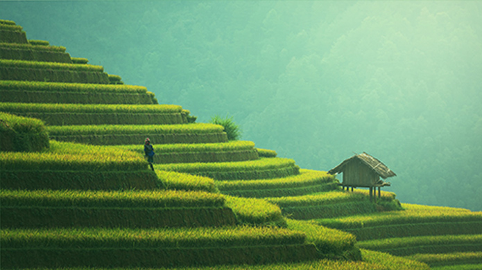 百乐博-非凡设想力,引发无限可能