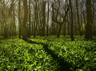 访田舍，送技术！ “中国农资”现代农业服务团队助力秋粮出产
